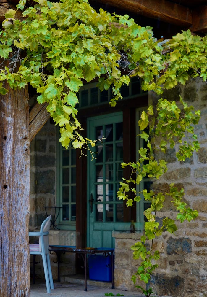 Charming stone cottage with green vines and vintage decor, perfect for serene retreats.